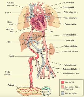 Capture d’écran 2022-01-03 à 18.34.47.png
