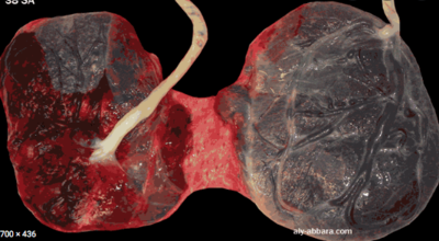 Capture d’écran 2022-01-05 à 13.47.01.png