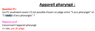 appareil pharyngé.png
