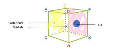 Capture d’écran 2022-01-14 à 00.08.51.png
