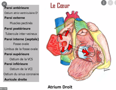 Capture d’écran 2022-01-14 à 00.23.33.png