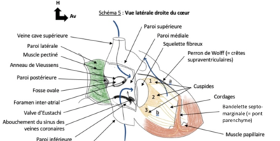 Capture d’écran 2022-01-14 à 00.24.16.png