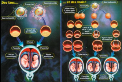 Capture d’écran 2022-01-14 à 03.09.06.png