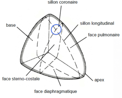 Capture d’écran 2022-01-14 à 09.17.27.png