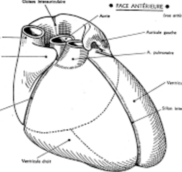 Capture d’écran 2022-01-14 à 09.18.31.png
