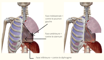 Capture d’écran 2022-01-14 à 09.22.20.png