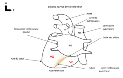 Capture d’écran 2022-01-15 à 08.55.54.png