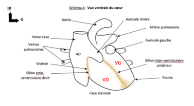 Capture d’écran 2022-01-15 à 08.57.00.png
