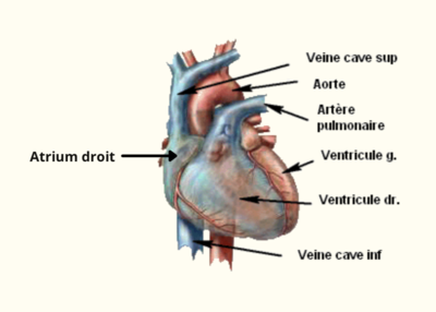 Capture d’écran 2022-01-15 à 08.57.34.png