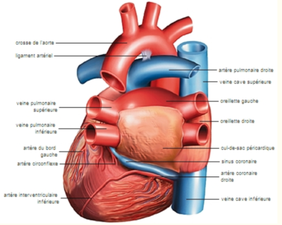 Capture d’écran 2022-01-15 à 08.57.51.png