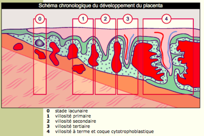 Capture d’écran 2022-01-14 à 03.44.57.png