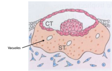 Capture d’écran 2022-01-14 à 03.59.27.png