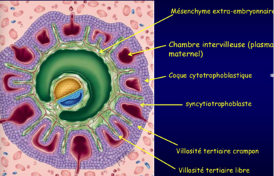 Capture d’écran 2022-01-16 à 16.11.30.png