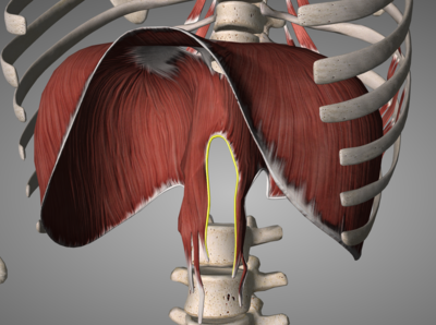 Capture d’écran 2022-01-16 à 16.31.54.png
