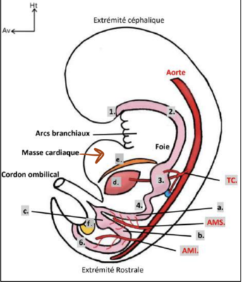 Capture d’écran 2022-01-16 à 16.47.26.png