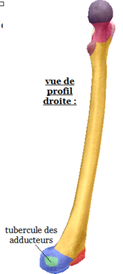vue profil.png