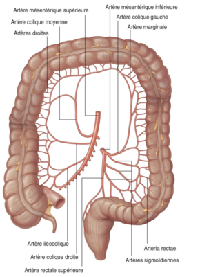 Capture d’écran 2022-01-18 à 18.46.25.png