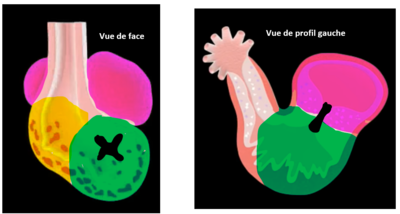 Capture d’écran 2022-01-19 163940.png