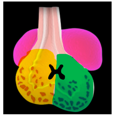 Capture d’écran 2022-01-19 171138.png