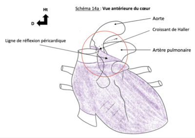 Capture d’écran 2022-01-19 à 17.22.39.png