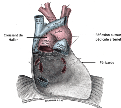 Capture d’écran 2022-01-19 à 17.22.51.png