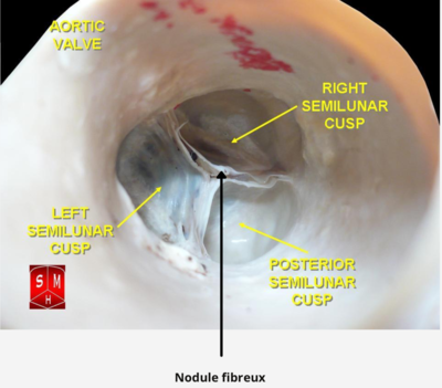 Capture d’écran 2022-01-22 à 10.31.20.png