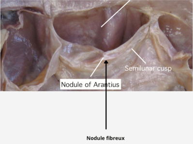 Capture d’écran 2022-01-22 à 10.31.33.png