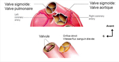 Capture d’écran 2022-01-22 à 10.31.42.png