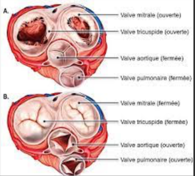Capture d’écran 2022-01-22 à 10.31.57.png