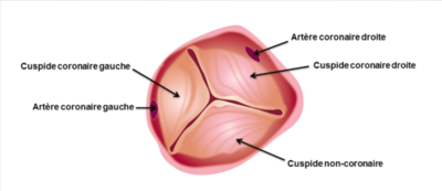 Capture d’écran 2022-01-22 à 10.48.10.png