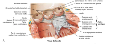 Capture d’écran 2022-01-22 à 10.48.29.png