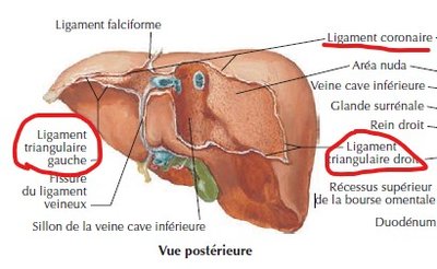 Capture d’écran 2022-01-22 175603.jpg