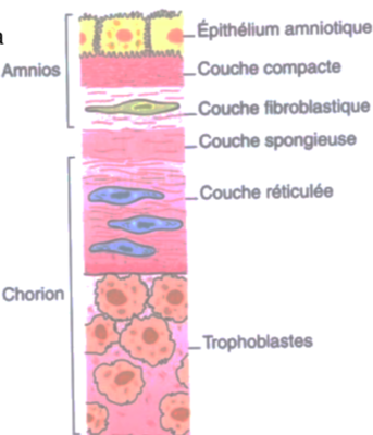 Capture d’écran 2022-01-25 à 14.30.09.png