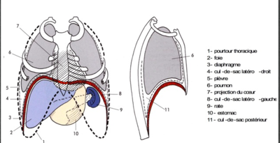 Capture d’écran 2022-01-26 à 22.33.17.png