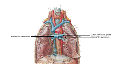 Capture d’écran 2022-01-28 à 10.46.32.png