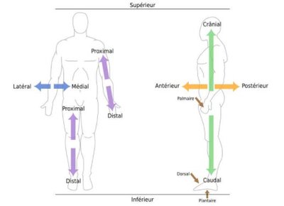 Capture d’écran 2022-01-30 214813.jpg