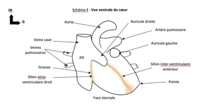 Capture d’écran 2022-01-31 à 11.50.29.png