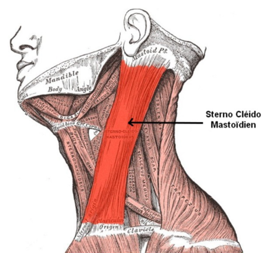 Capture d’écran 2022-01-31 à 12.18.59.png
