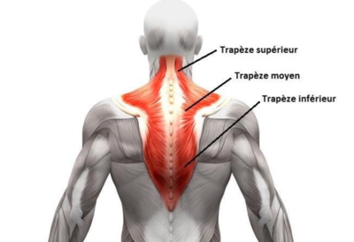 Capture d’écran 2022-01-31 à 12.18.37.png