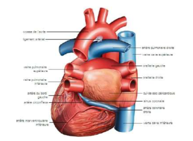 Capture d’écran 2022-02-01 à 19.54.02.png