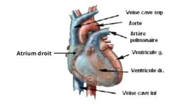 Capture d’écran 2022-02-01 à 19.53.59.png