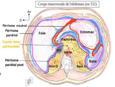 Capture d’écran 2022-02-01 à 22.20.01.png