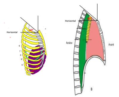 Capture d’écran 2022-02-02 à 09.36.58.png