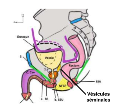 Capture d’écran 2022-02-02 à 10.27.18.png