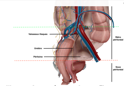 Capture d’écran 2022-02-02 à 10.37.28.png