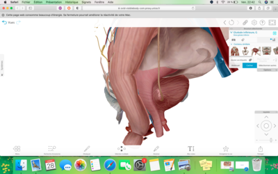 Capture d’écran 2022-01-28 à 22.42.01.png