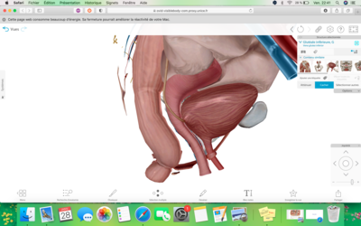Capture d’écran 2022-01-28 à 22.41.51.png