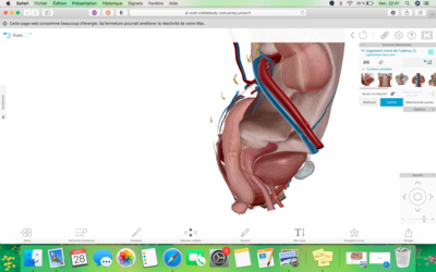 Capture d’écran 2022-01-28 à 22.41.07.png
