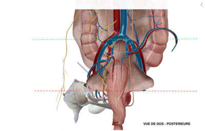 Capture d’écran 2022-02-02 à 10.42.24.png