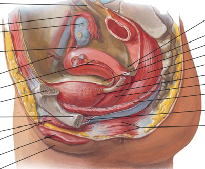 Capture d’écran 2022-01-28 à 19.30.01.png